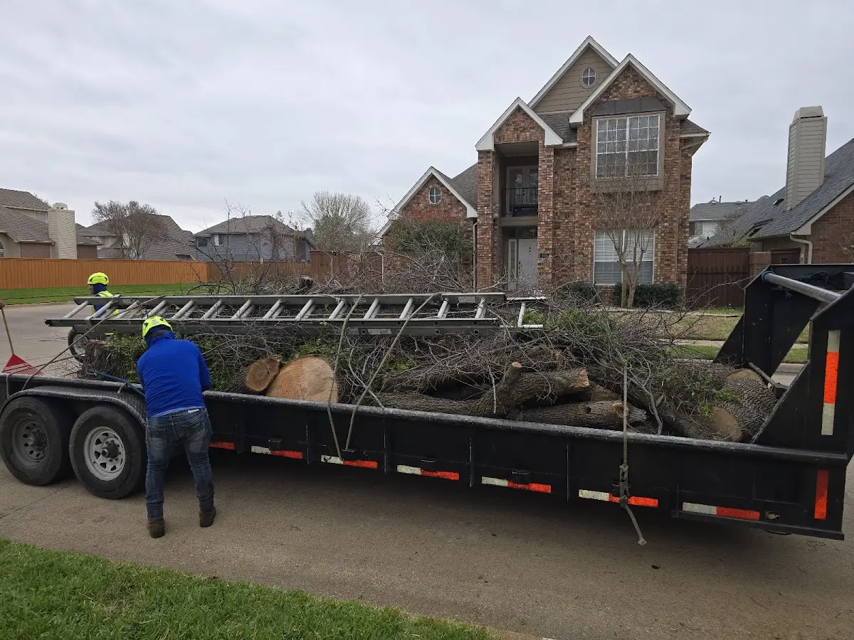 Expert Tree Fertilization with proper safety equipment in Clarklake